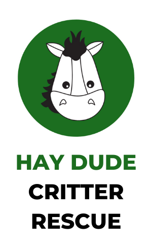 Hay Dude Critter Rescue